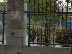 -四川邮电职业技术学院