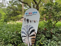 -深圳野生动物园