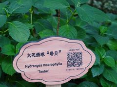 -常州古运河南大街文化旅游区-人民公园