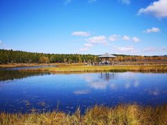 -塞罕坝国家级自然保护区