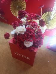 -Yestar艺星医疗美容医院