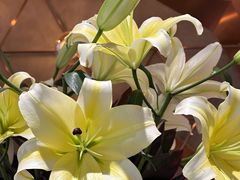 -THE WOODS 简餐 (国贸商城店)