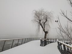-东郊湿地公园