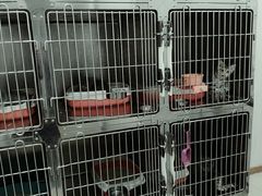 -萌兽医馆·眼科·异宠专科(三里屯店)