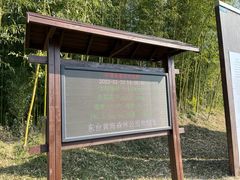 -黄海国家森林公园