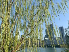 -天鹅湖体育公园