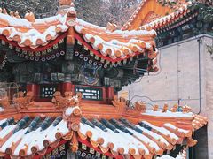 -颐和园