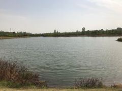 -淇河国家湿地公园