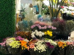 -花草间花行(法华镇路店)