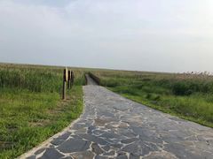 -盐城丹顶鹤湿地生态旅游区