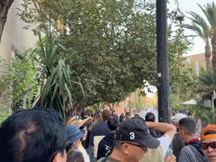 -马洛雷勒花园