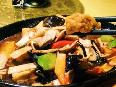 -素虎小呆鸟(西二旗店)