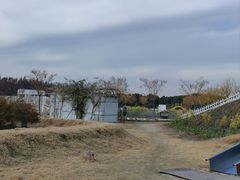 -嘉北郊野公园