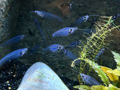 -上海海洋水族馆