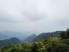 -莫干山风景区