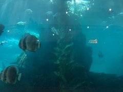 -鸿通城购物中心