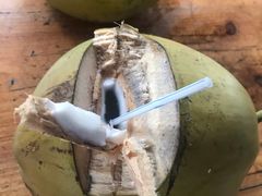 -东郊椰林