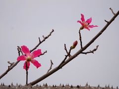 -风云岭森林公园
