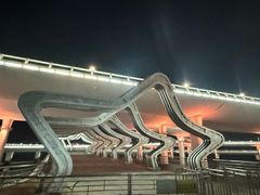 -演武大桥观景平台