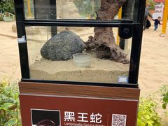 -南宫五洲植物乐园