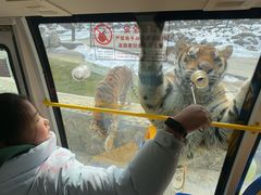 -栾川竹海野生动物园