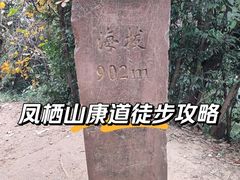 -凤栖山