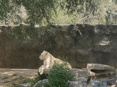 -北京野生动物园