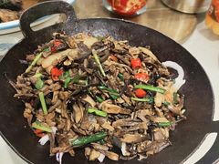 -邵年鸽(杨庄店)