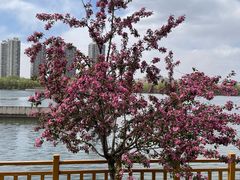 -长白岛森林公园