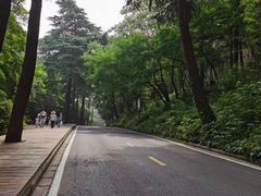 -紫金山山顶公园