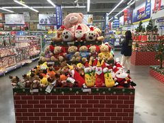 -麦德龙(镇江开发区店)