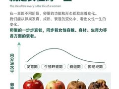 -中粮·祥云小镇