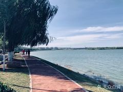 -丁香湖公园