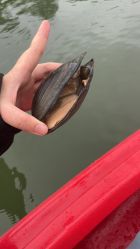 -剑鱼皮划艇俱乐部(石湖基地)