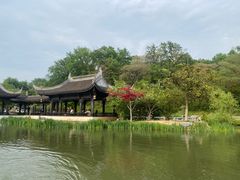 -镇江市南山风景名胜区竹林景区