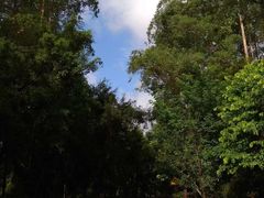 -大雁山风景区