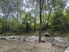 -玉渡山自然风景区