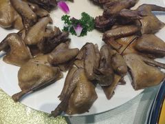 -光明招待所(邦凯科技园店)