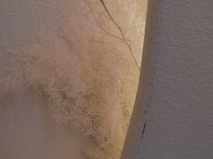 -伊斯坦布尔土耳其清真咖啡餐厅