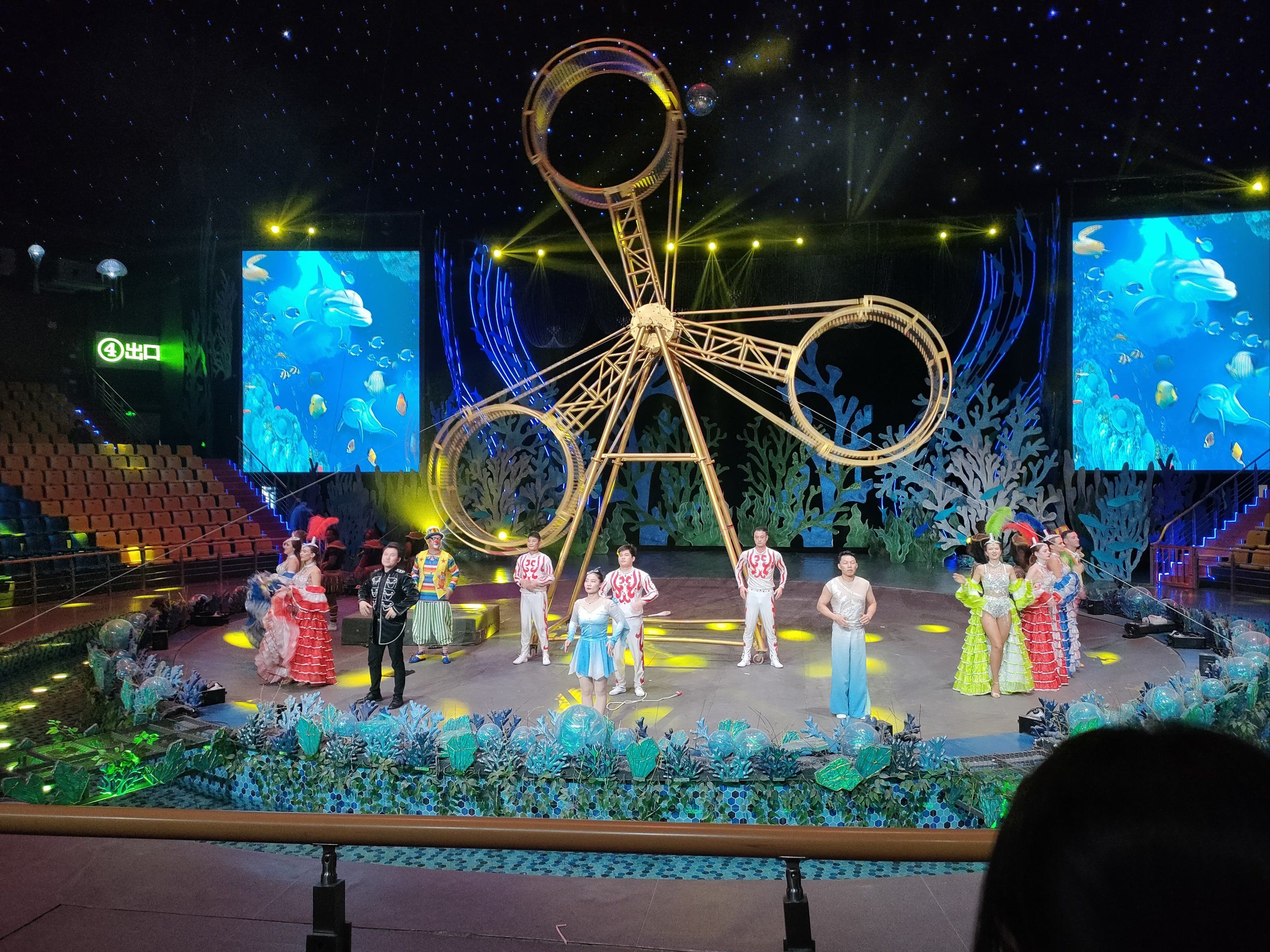 野生动物园的马戏团表演很赞