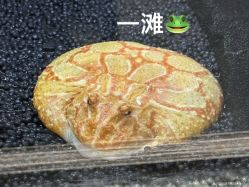 -Zoolung Zoolung动物主题公园(海信广场店)