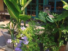 -SEN CASTLE城堡西餐(创意设计中心店)