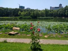-吉林大学(前卫南区)