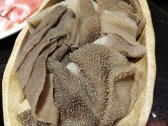 绿色毛肚-宽板凳老灶火锅(南礼士路店)