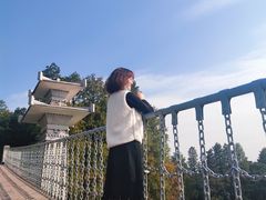 -东湖落雁景区