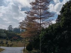 -东莞植物园