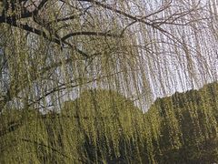 -大宁公园