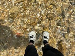 -山东大学(威海校区)