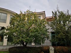 -上海虹桥迎宾馆