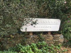 -梧桐山风景名胜区